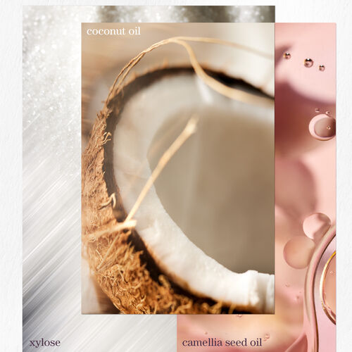 Color Fanatic Multi-Tasking Leave-In Spray - Hair Care | L'Oréal Partner Shop